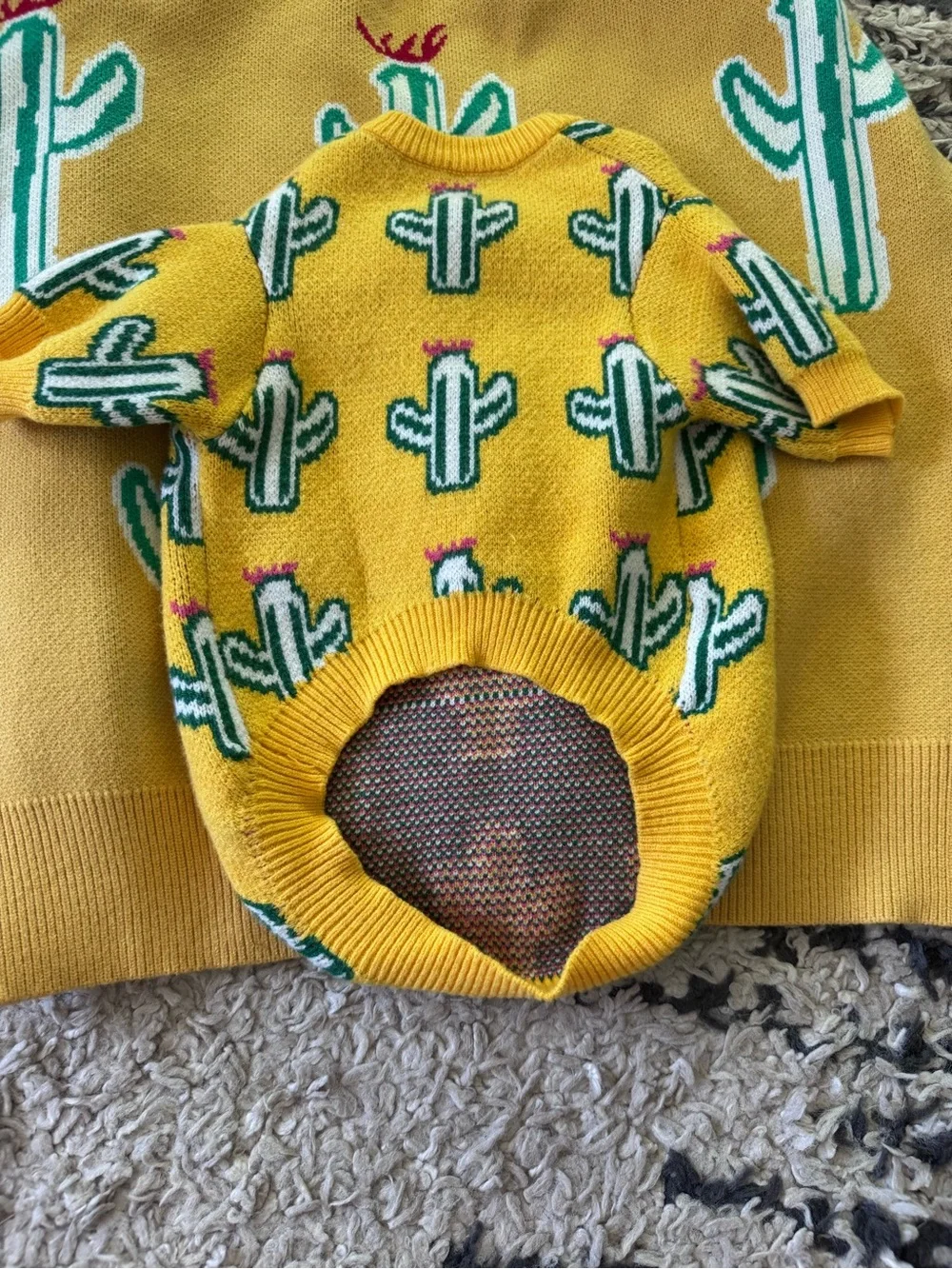 Matching Pet and Person cactus sweaters